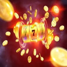 bwin55