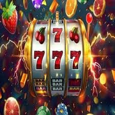 bwin55
