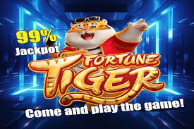 bwin55